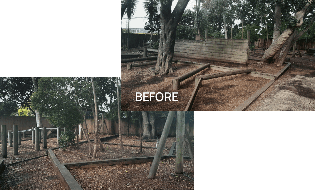The wonderful area, with a number of mature trees, was full of dated equipment and crying out for development. All but one of the existing pieces of equipment was removed with one rope frame being repositioned.